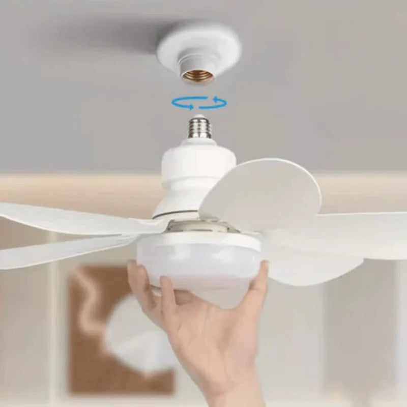 Product showcase image