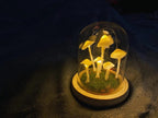 Lampe Champignon DIY – Verre et Bois, Décoration de Table Créative pour le Salon ou la Chambre