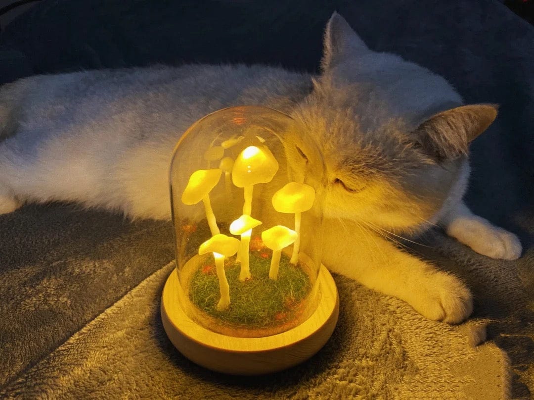 Lampe Champignon DIY – Verre et Bois, Décoration de Table Créative pour le Salon ou la Chambre
