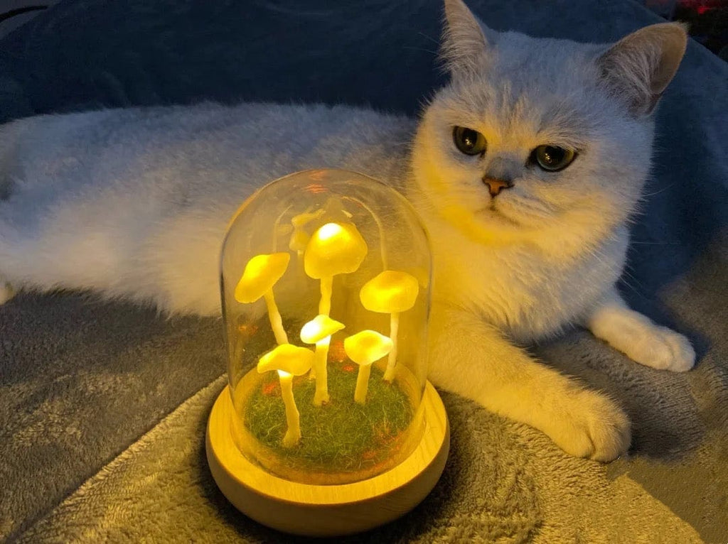 Lampe Champignon DIY – Verre et Bois, Décoration de Table Créative pour le Salon ou la Chambre