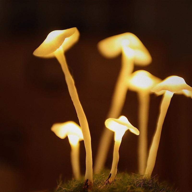 Lampe Champignon DIY – Verre et Bois, Décoration de Table Créative pour le Salon ou la Chambre