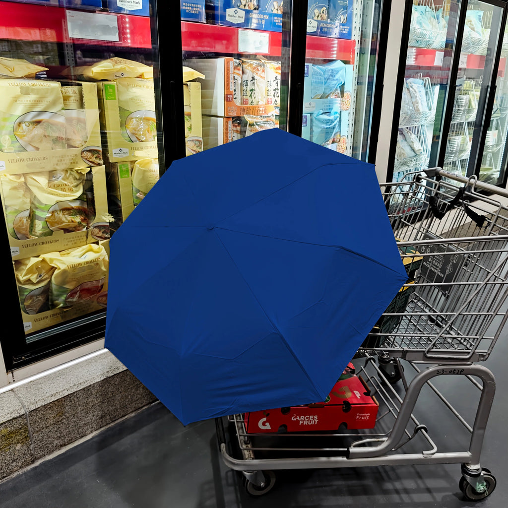 Cadeau saisonnier — Parapluie automatique
