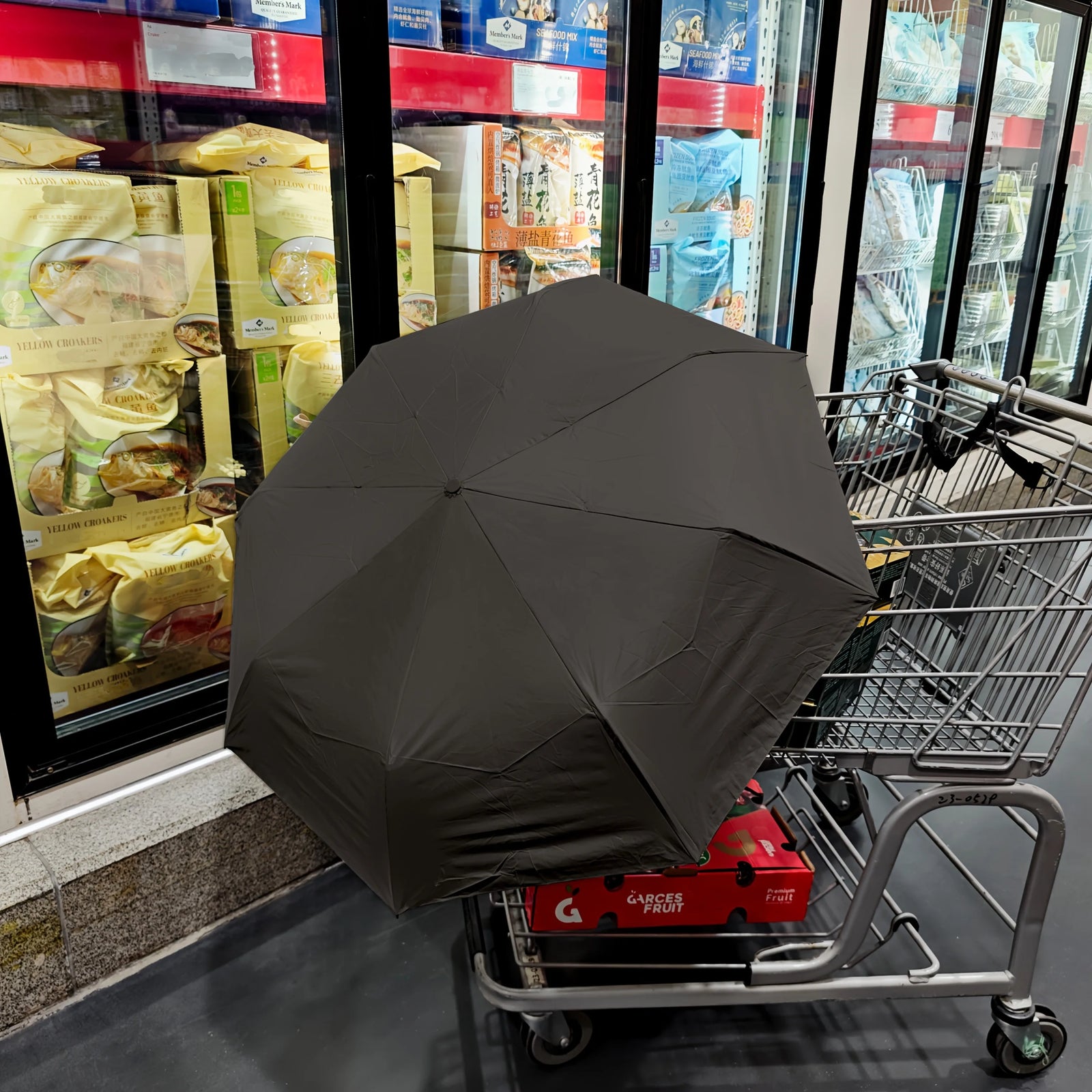 Cadeau saisonnier — Parapluie automatique