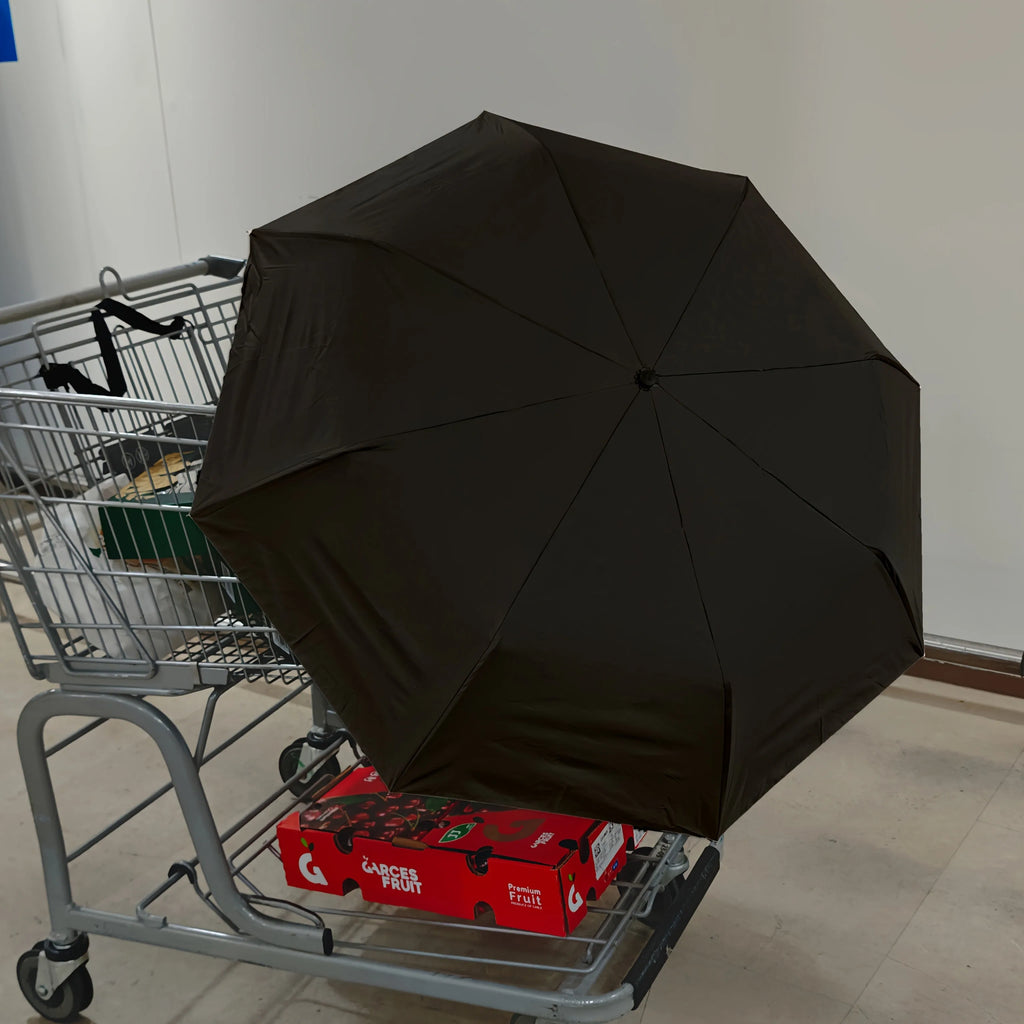 Cadeau saisonnier — Parapluie automatique