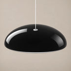 Suspension dôme noire : vue de la coque et de l’entrée du câble.