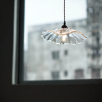 Éranthia claire, suspension florale devant une fenêtre. Visuel retouché pour retirer un filigrane commercial.
