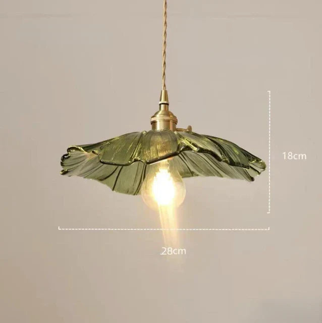Product showcase image
