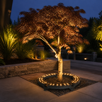 GlowTree, couronne LED autour d’un érable sur une terrasse paysagée