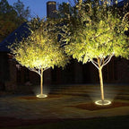 GlowTree | Projecteur LED Extérieur – Ambiance Chaleureuse