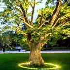 GlowTree | Projecteur LED Extérieur – Ambiance Chaleureuse