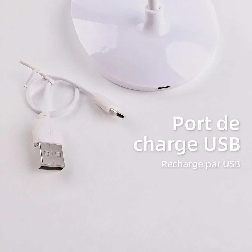 Montage du socle de la lampe LumaDesk, de son câble et de différentes connexions USB.