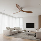 Ventilateur de plafond — Bois naturel et argent — vue 2