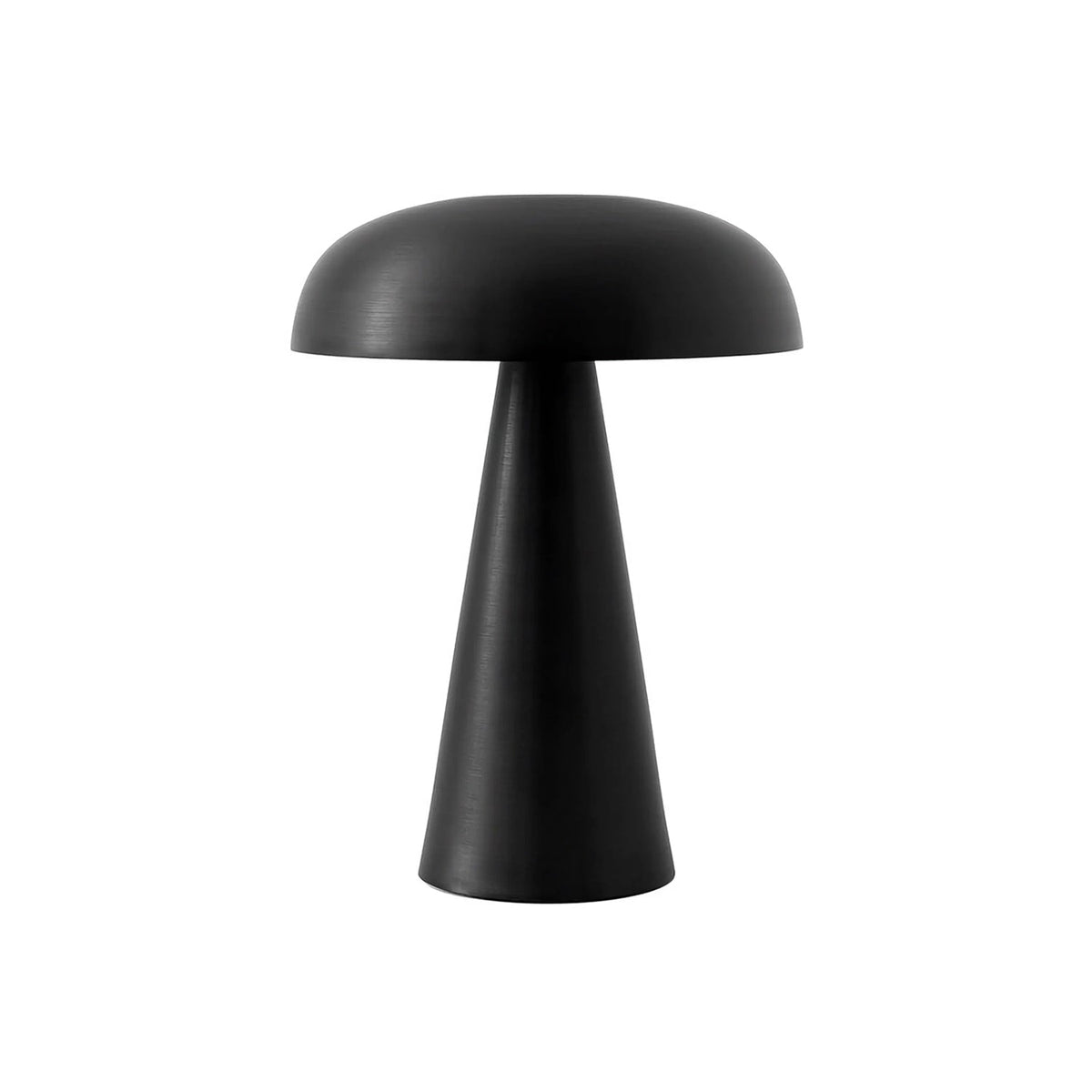 Vue en légère contre-plongée du dôme noir