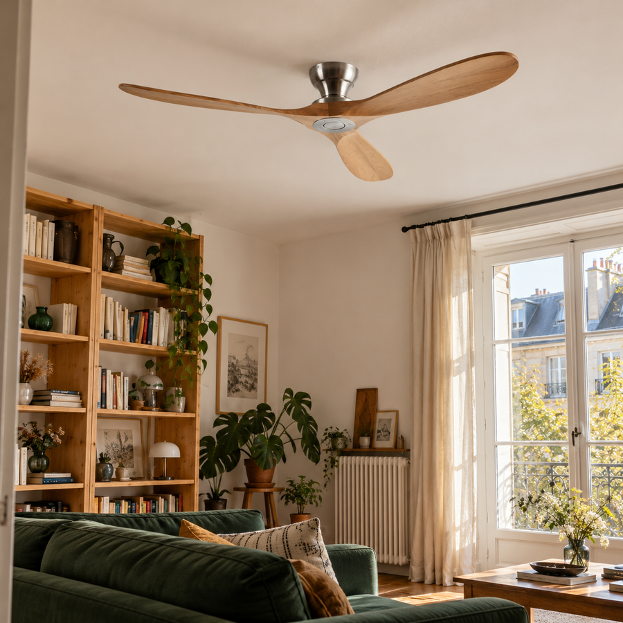 Photo d’ambiance créée : Alizé dans un intérieur habité.
