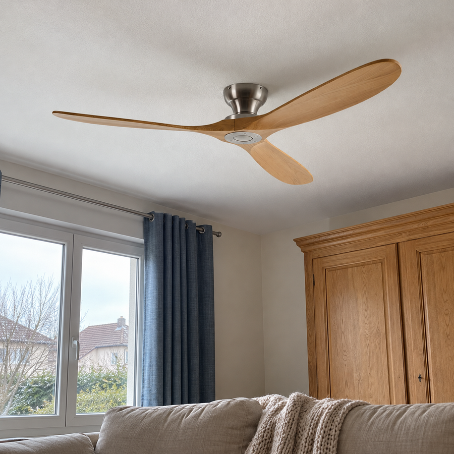 Photo d’ambiance créée : Alizé dans un intérieur habité.