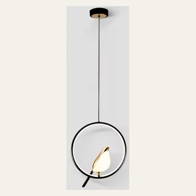 Suspension oiseau et contour lumineux — Rond noir et doré — présentation photographique de vues natives, 10 secondes. Décor non inclus.