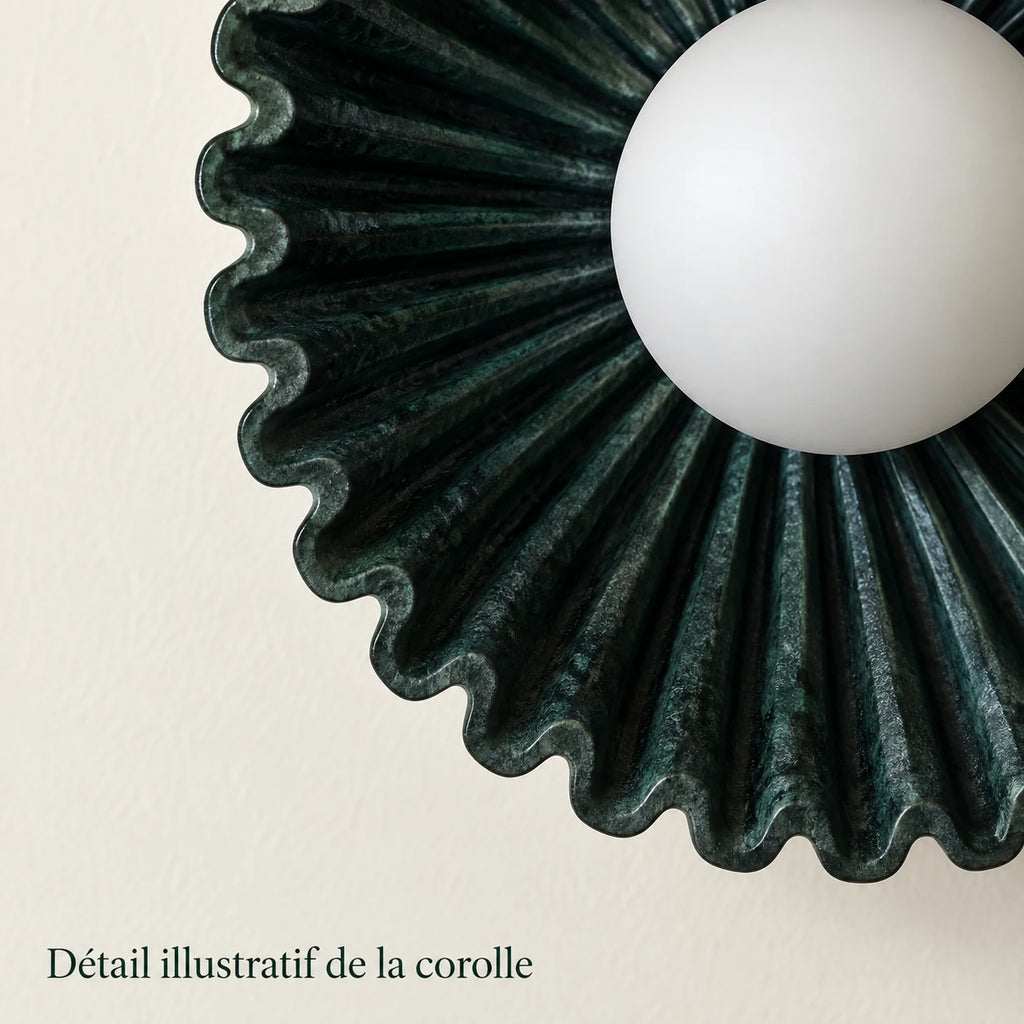 Volute — Observer le relief de la corolle. Création illustrative fondée sur les références du modèle ; décor non inclus. Échelle illustrative, dimensions exactes à confirmer.